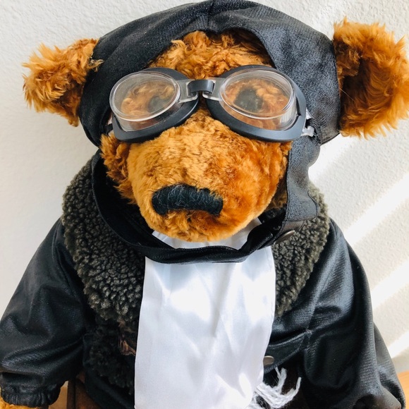 Teddy bear pilot - Picture 2 of 6